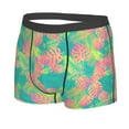 thumbnail image 2 of Haiem Colorful Palm Leaves Men's Boxer Briefs, Every Day Comfort Stretch Cotton Moisture-Wicking Underwear-Small, 2 of 9