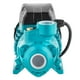 thumbnail image 2 of Bomba eléctrica periférica Iusa 3/4 HP Azul, 2 of 8