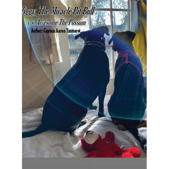 Ziggy, The Miracle Pit Bull, (Hardcover)