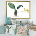 thumbnail image 3 of Designart 'Ancient Plant Life VI' Traditional Framed Art Print, 3 of 4