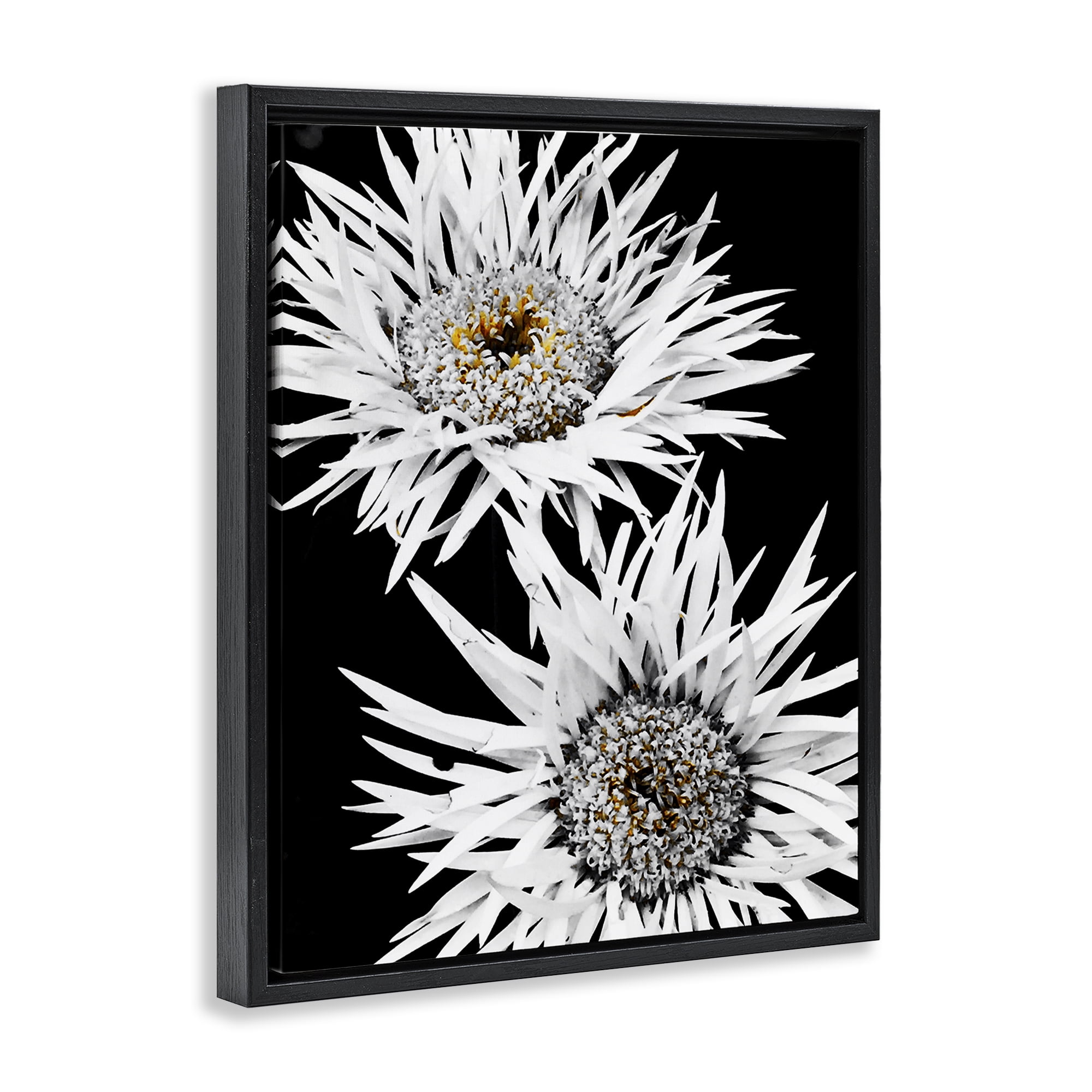 Stupell Industries Bold Contrast Flower Buds Plants & Flowers Painting Black Floater Framed Canvas Art Print Wall Art, 25 x 31