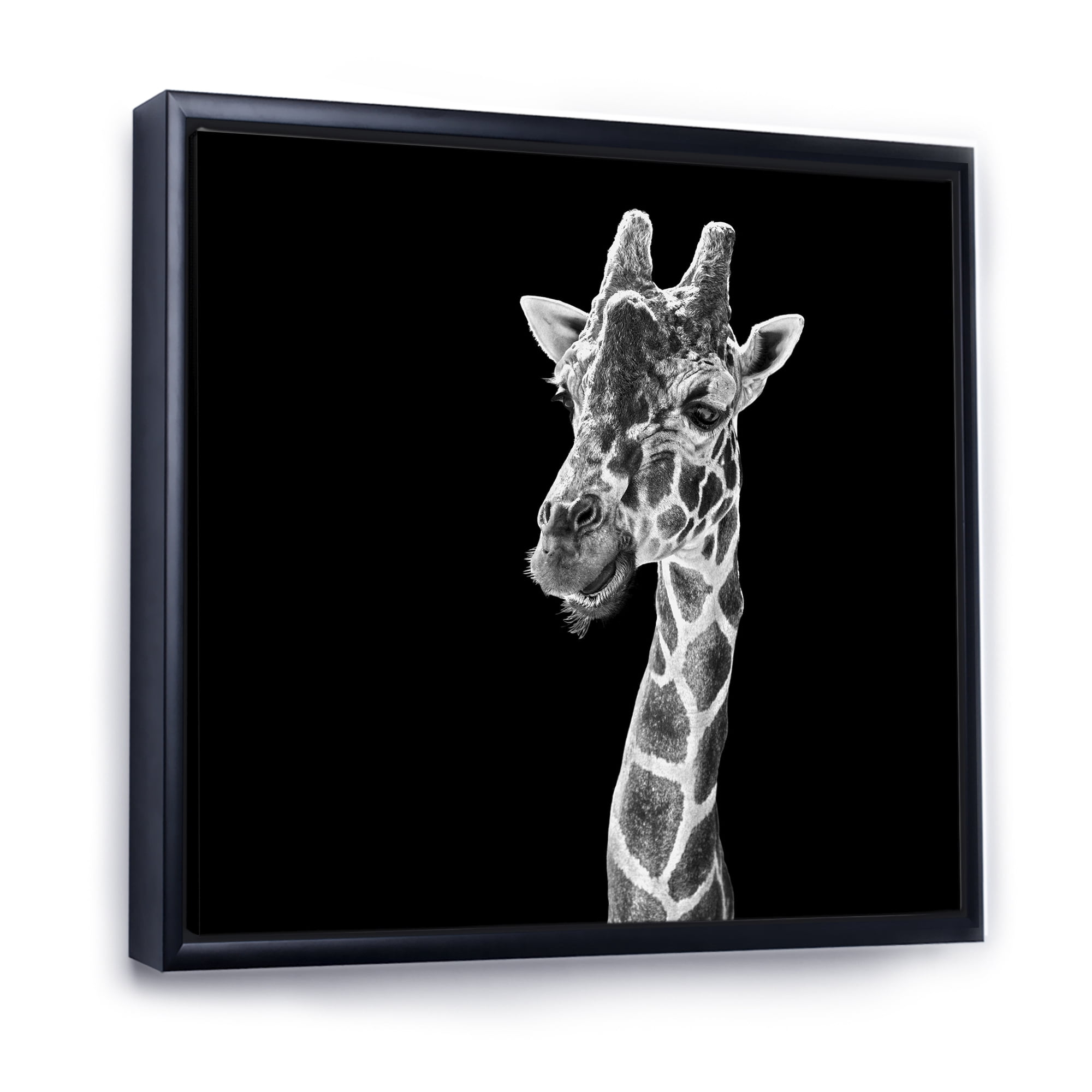 Designart 'Close Up Portrait Of A Giraffe On Black II' Farmhouse Framed Canvas Wall Art Print