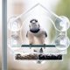 thumbnail image 4 of Bird Feeder, Acrylic Clear Window Bird Feeder, 4 of 5