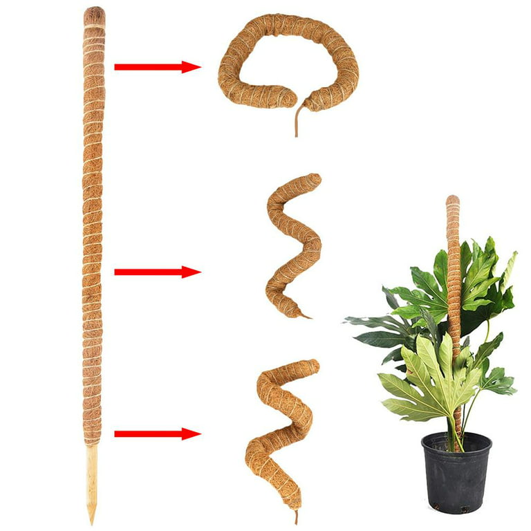  KENFARI Bendable Coir Moss Pole for Plants Monstera,Plant  Holder Sticks Support Stakes for Potted Climbing Plants Indoor,House Plant  Accessories with Rope Plant Velcro Tape Wire Brown : Patio, Lawn 