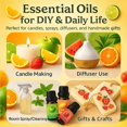 thumbnail image 3 of Set de aceites esenciales Chanhyer Fruity, 6 unidades, 10 ml, manzana verde, etc., 3 of 6