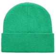 thumbnail image 2 of Nintendo Super Mario Bros Luigi Adult Green Beanie, 2 of 3