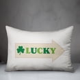 thumbnail image 3 of Creative Products Lucky Arrow 20 x 14 Spun Poly Pillow, 3 of 3