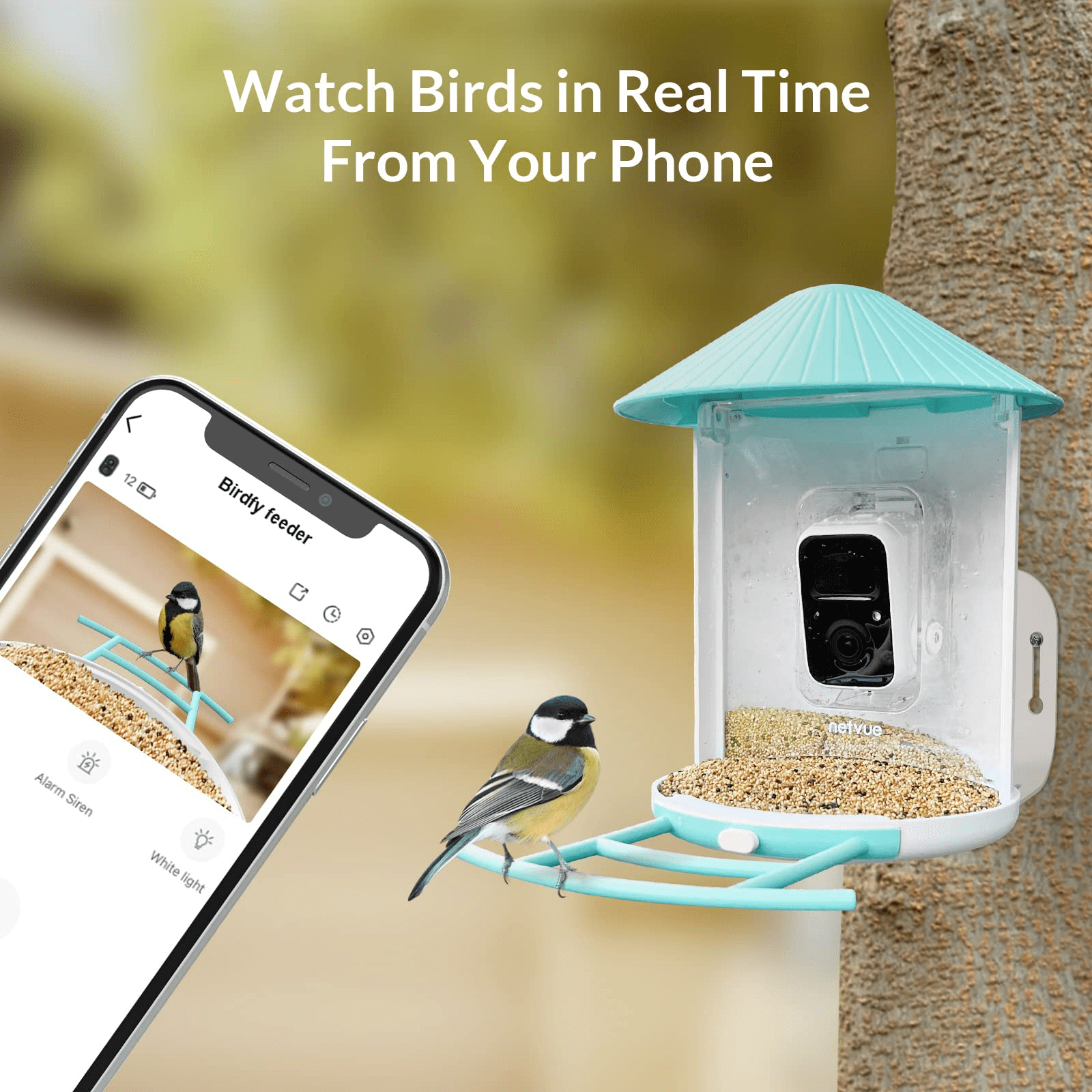 Buy Bird Feeder Camera Outdoor Netvue Birdfy Smart Bird Feeder for Bird