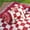 Red, variant on 2 in 1 Extra Large Boho Beach Blanket Towel Picnic Camp Mat Family Beach Trip Essentials Summer Vacation Must Have Travel Accessories Lake Day Necessities Stuff Thing Need Gear Gift Item Gadget 2026