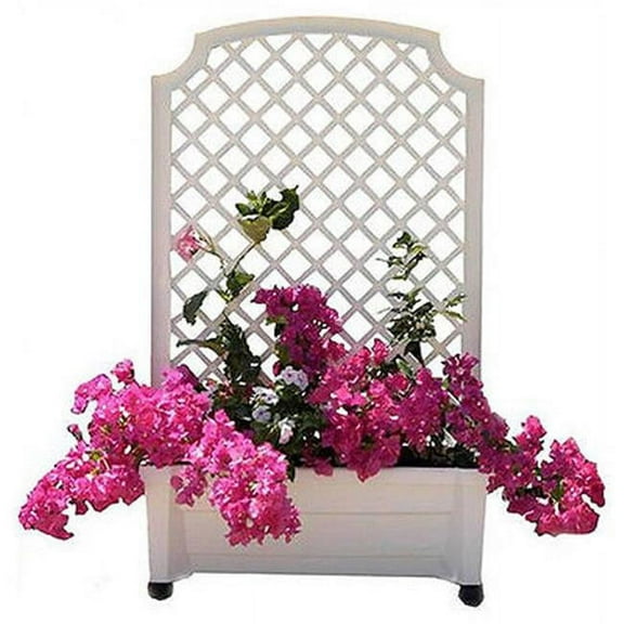 Calypso Planter in Green