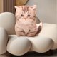 thumbnail image 1 of Puntoco Almohada de imitación de gatito, juguete de peluche, perro, pomerania, muñeca, niñas, almohada cómoda para dormir, 1 of 5