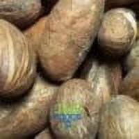 JEB FOODS African Bitter Kola Nuts, Bitter Kola Retro Garcinia, Petit Cola Nut, Obi Abata Cola Nut (8oz)