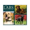 thumbnail image 3 of Labs 2023 Box Calendar, 3 of 6