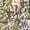 Green, variant on Printed Tie-Up Tops For Women, Quarter Sleeves Round Neck Casual Viscose Top