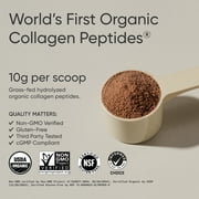 Collagen Peptides Organic Chocolate (30 servings)