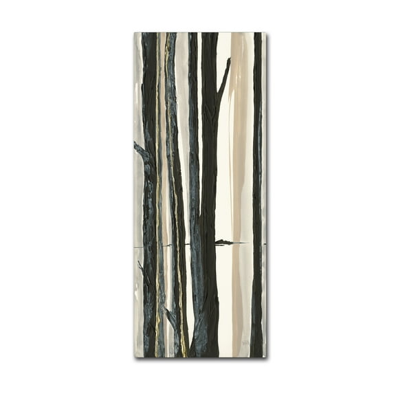 Trademark Fine Art 'Through the Trees I' Canvas Art by Chris Paschke