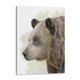 thumbnail image 1 of Cuadro decorativo - Amigo De Timberland Ii, Grace Popp 45x60 Canvas Lab Naturaleza, Animales y naturaleza, 1 of 2