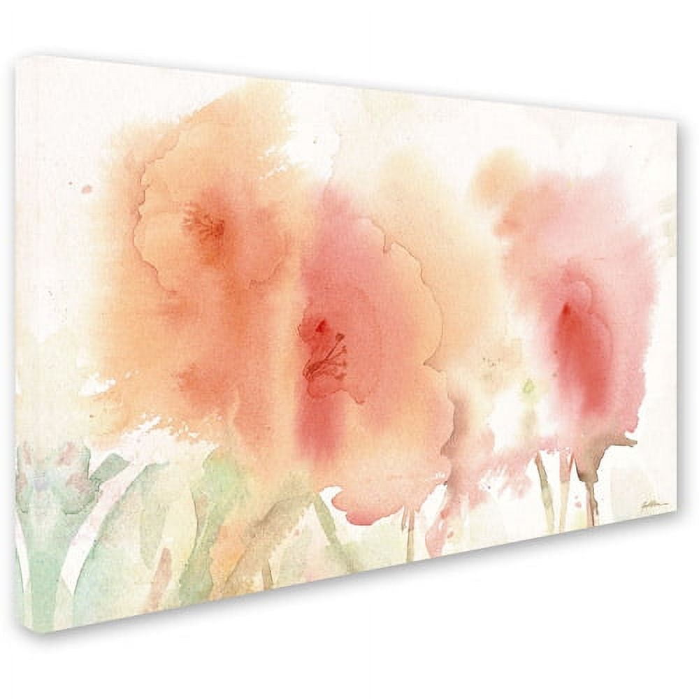 Trademark Fine Art "Coral Composition" Canvas Art by Sheila Golden