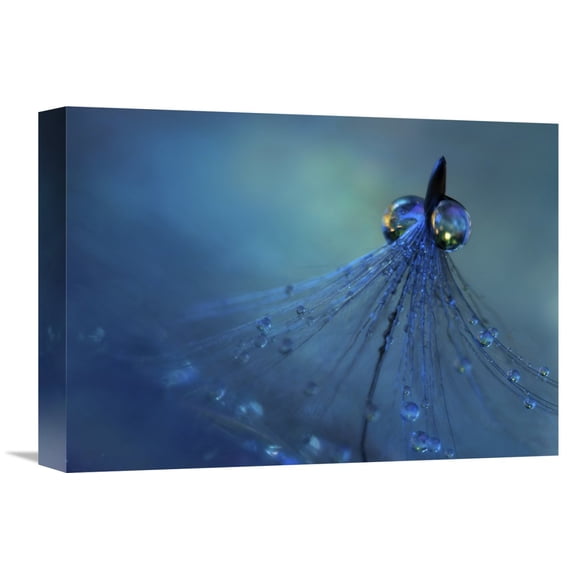 Global Gallery Heidi Westum,'Dancing Into The Blue Night' Stretched Canvas Artwork