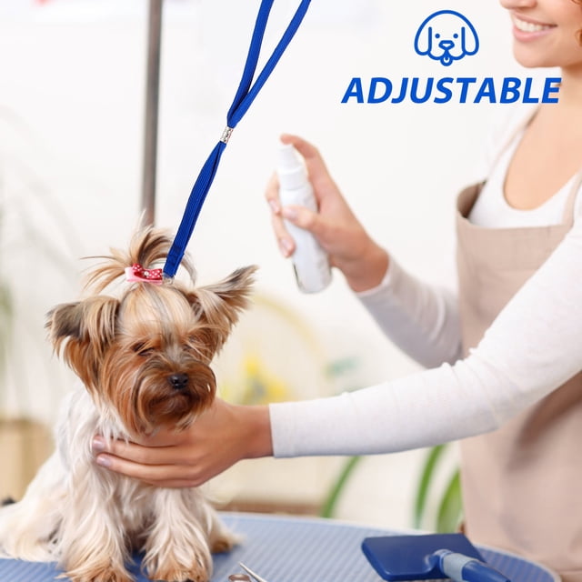 unbranded 6Ud Cuerda Para De Mascotas Color Surtido Con Material De Nylon Resistente Para Uso
