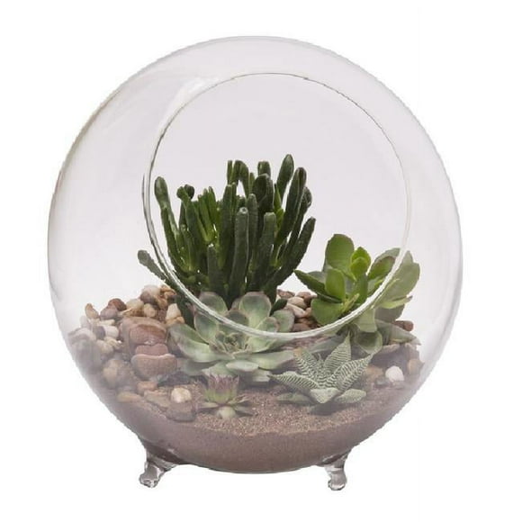 Panacea Produits 7008967 Grand Terrarium en Verre de 10,25 Po de Diamètre avec Pieds, Transparent