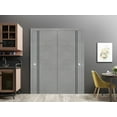 thumbnail image 3 of Sliding Closet Bypass Doors 48 x 96 inches | Planum 0016 Concrete with Frosted Glass | Sturdy Rails Moldings Trims Hardware Set | Wood Solid Bedroom Wardrobe Doors, 3 of 6