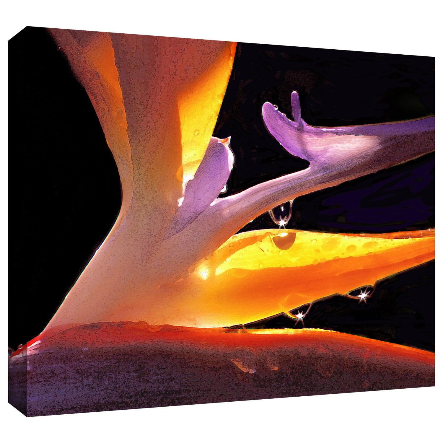 Dean Uhlinger "Rain Bird" Gallery-Wrapped Canvas