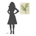 thumbnail image 4 of Global Gallery Albena Hristova 'Sago Palm Leaves Neutral Crop' Canvas Wall Art, 4 of 4