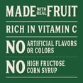 thumbnail image 2 of Tree Top Cinnamon Apple Sauce Pouches, 3.2 Oz, 12 Count, 2 of 7