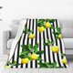 thumbnail image 1 of Balery Lemons on Striped Manta de Felpa Suave y Acogedora – Cobija de Franela Aterciopelada para Cama, Lavable y Cálida para Sofá, Mascotas, Transpirable-80"x60", 1 of 7