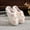 #0226-White, variant on Cute Ribbon Bow Slippers for Womens Mens Cut Retro Plush Soft Memory Foam House Shoes Gift