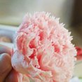 thumbnail image 4 of SPRING PARK 8Pcs Artificial Carnation Bouquet Realistic Fake Gift Flowers for Home Mother's Day, 4 of 7
