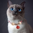 thumbnail image 5 of Collar antipulgas y garrapatas Yuyangstore para perros y gatos ajustable, 5 of 5