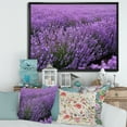 thumbnail image 2 of Designart 'Blooming Purple Lavender Meadow' Farmhouse Framed Canvas Wall Art Print, 2 of 5