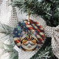 thumbnail image 3 of Patriotic Exotic Shorthair Stained Glass Portrait American Flag Ceramic Round Ornament Cat Lover Kitten Owner Gifts Home Tree Decor - 01010, 3 of 5