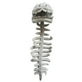 thumbnail image 2 of Cute Dinosaur Skeleton Plush Costume, Soft Lightweight Outfit for Cosplay, Themed Events & Dress Up Fun, 2 of 7