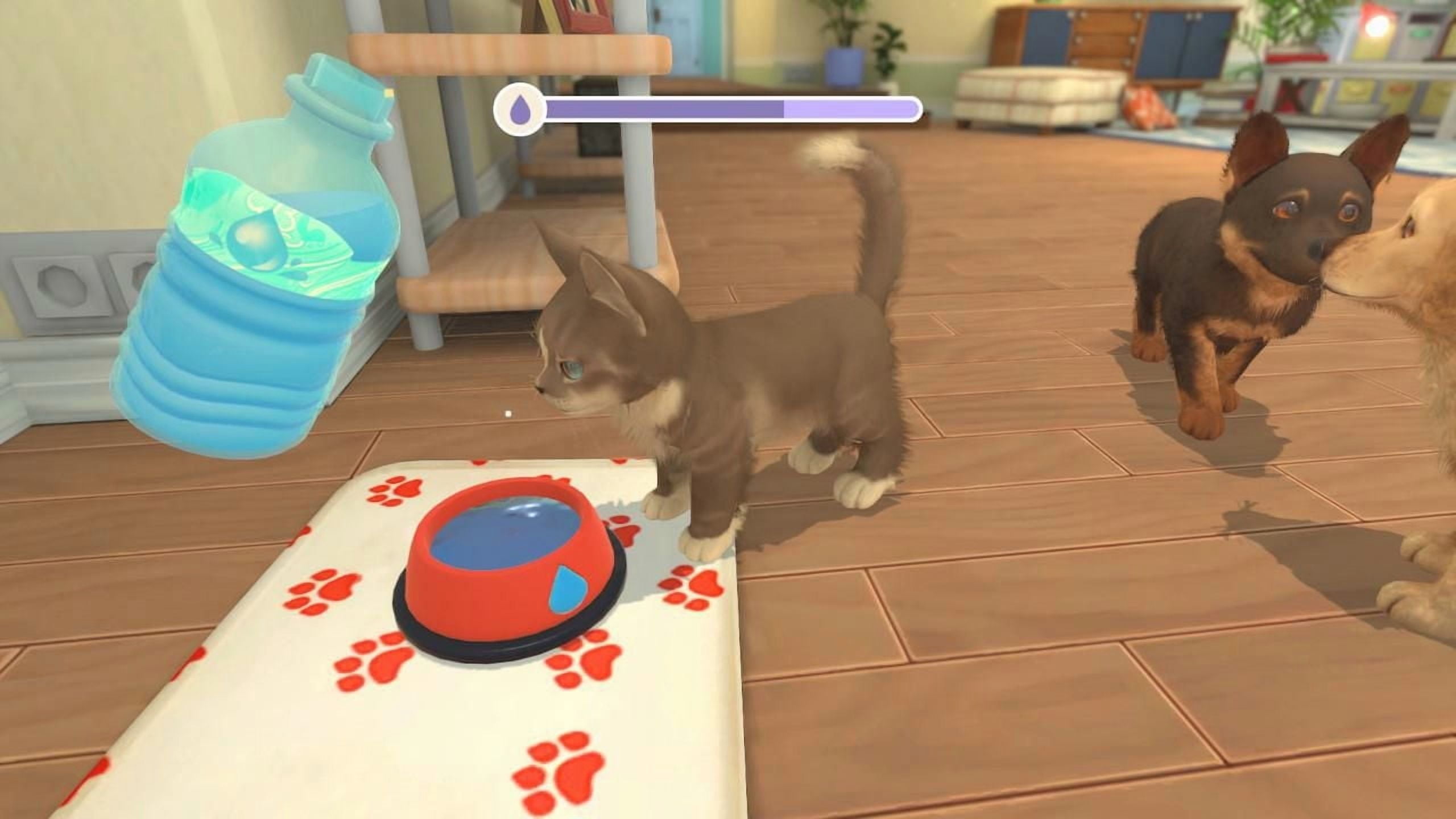 Jeu vidéo My Universe: Puppies and Kittens pour (PS4)