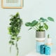 thumbnail image 2 of 2 plantas artificiales colgantes, realistas, para uso en interiores y exteriores, decoración de bonsái falso., 2 of 6