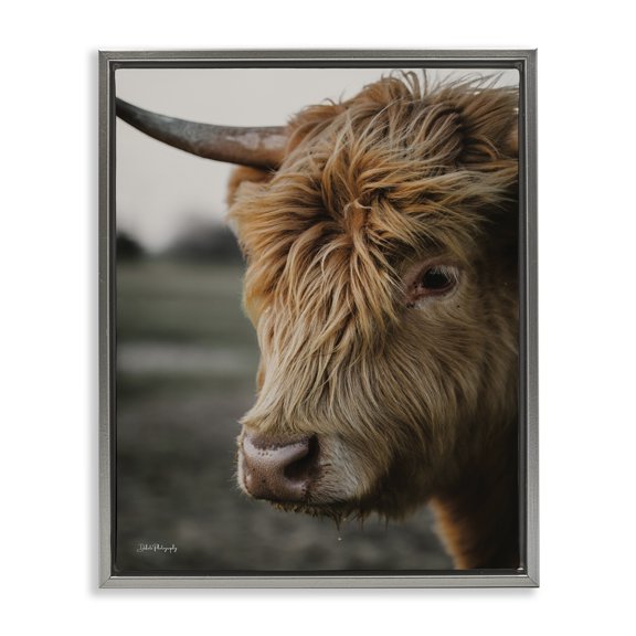 Stupell Industries Farmhouse Cattle Gazing Portrait Gray Floating Frame Canvas Art, 25 x 31, by Dakota Diener