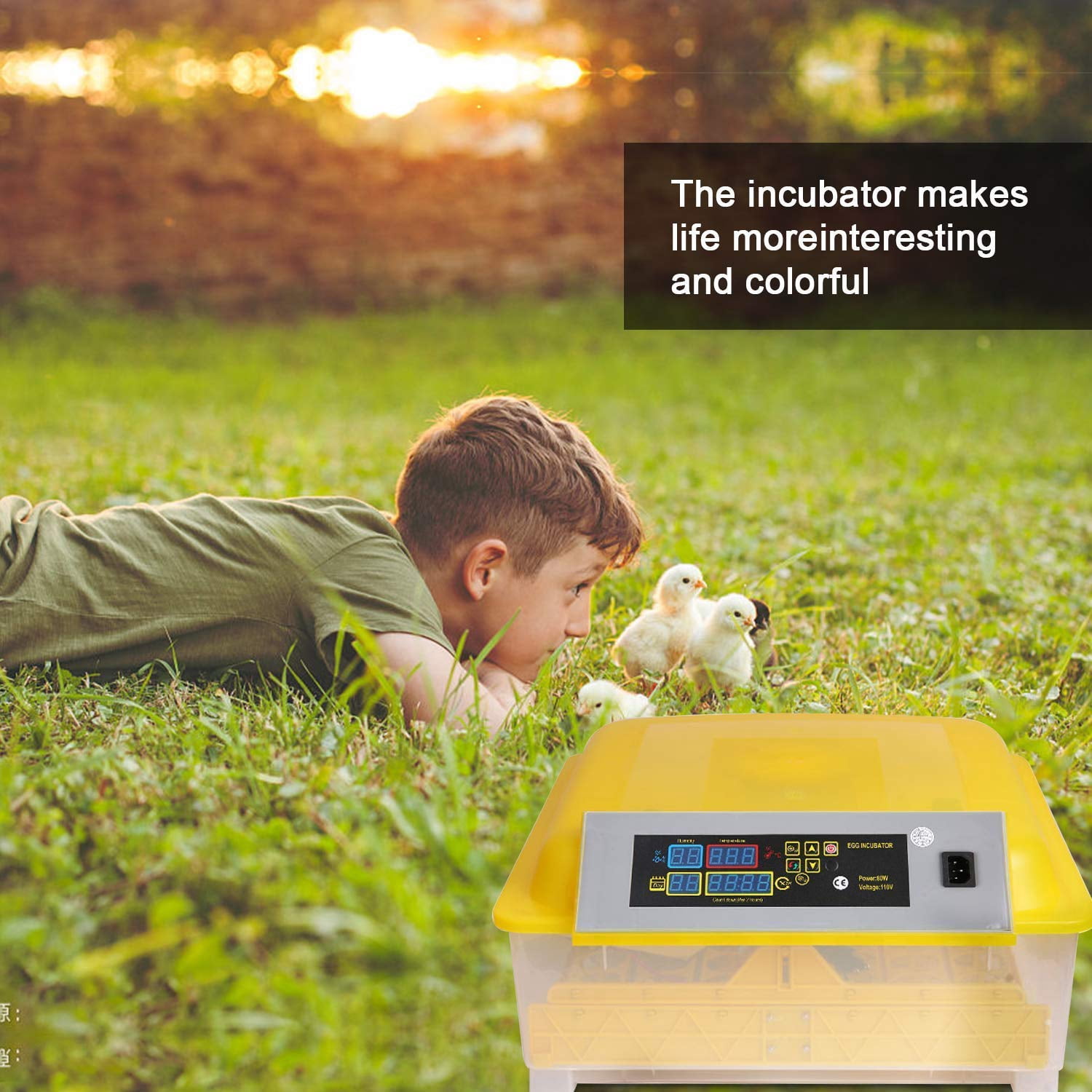 Private Jungle 48 Eggs Fully Automatic Digital Poultry Hatcher Machine Breeder with Temperature Control and Auto Turning for Hatching Chicken Duck Goose Quail Birds, Incubators