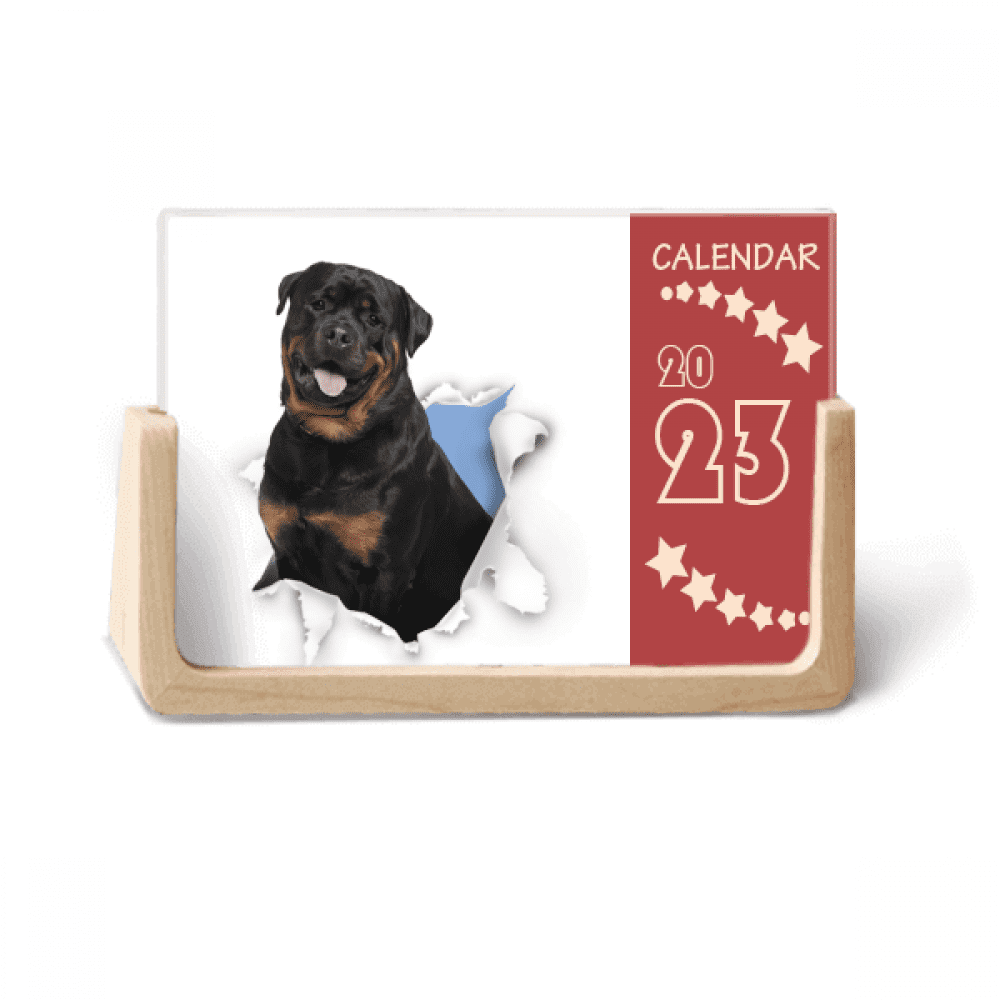 Animal Paper Break Shocks Bad Dogs Desk Calendar Desktop Decoration