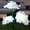 White, variant on AZXY Solar Lights for Garden,Decorative Solar Lights,Solar Landscape Lights,Solar Path Lights Outdoor Waterproof,Led Solar Garden Lights Flowers