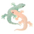 thumbnail image 2 of Here's a refined and professional product description based on your input:\n\n \n\n**2pcs Realistic Simulation Lizard Figures – Lightweight Fake Reptile, 2 of 5