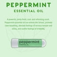 thumbnail image 6 of MOXE Peppermint Nasal Stick 100% Pure Essential Oil Aromatherapy, 3-Pack, 6 of 7