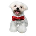 thumbnail image 6 of Pooch Outfitters  Valentino Bow Tie - Red - Extra Small, 6 of 6