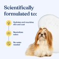 thumbnail image 2 of Honest Paws Dog Dry Shampoo, Waterless Shampoo, 8 oz Mandarin & Berry, 2 of 9