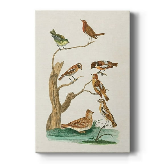 Antique Birds in Nature III Premium Gallery Wrapped Canvas - Ready to Hang