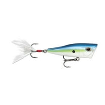 Arashi Cover Pop Hard Bait Lure