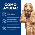 thumbnail image 4 of Hill's alimento perro food sensitive estofado húmedo z/d 12pzs, 4 of 6