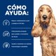 thumbnail image 4 of Hill's alimento perro food sensitive estofado húmedo z/d 12pzs, 4 of 6